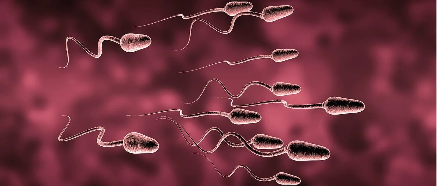 Criopreservación de espermas