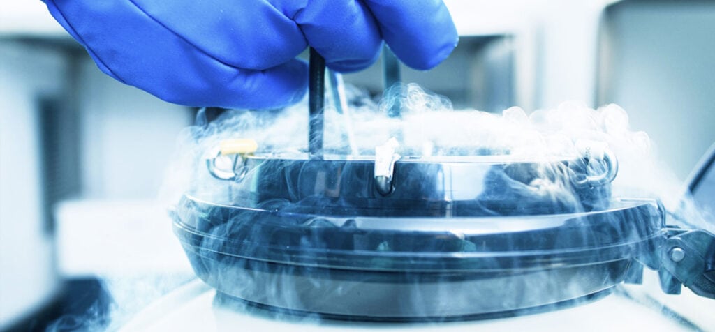 Vitrificación de óvulos