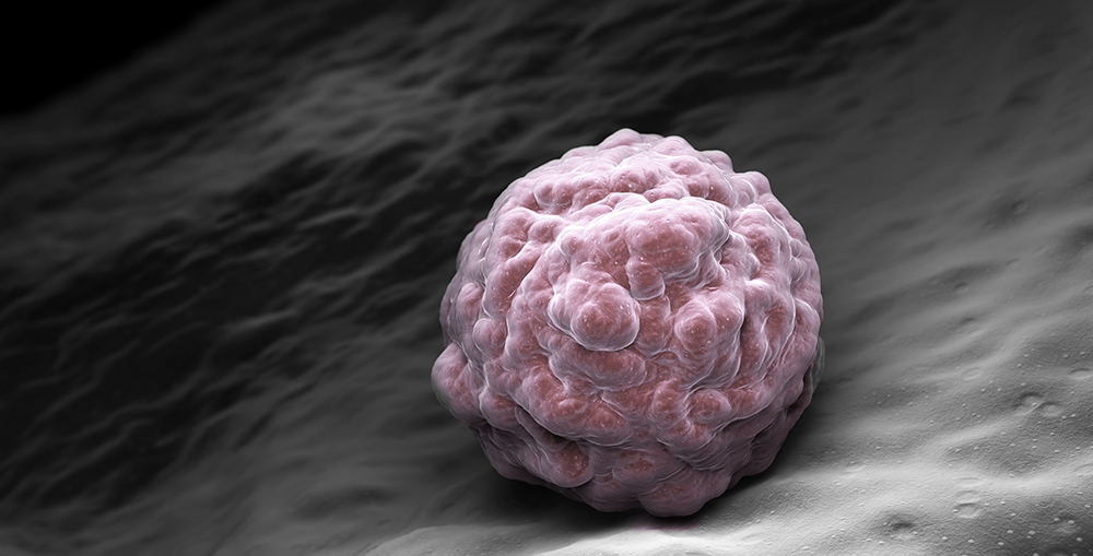 Vitrificación de embriones